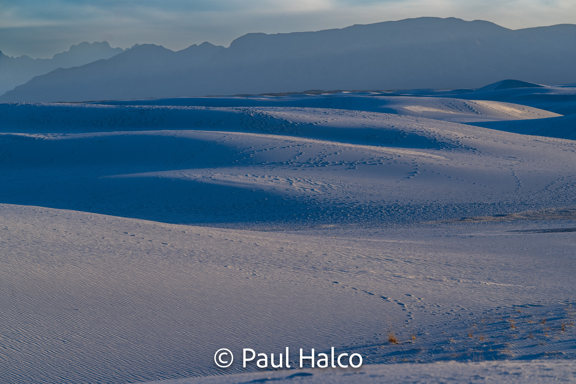 Paul Halco - White Sands NP-11